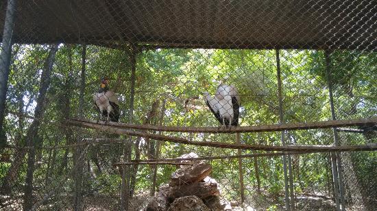 Zoológico da UFMT